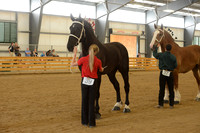 Sr. Youth Showmanship-15