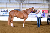 AB1_6044