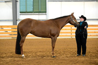 AJB_2006