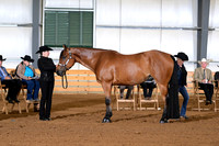 AJB_0943