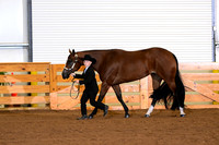 AJB_0185