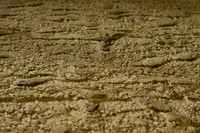 AJB_0547
