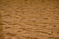 AJB_8834