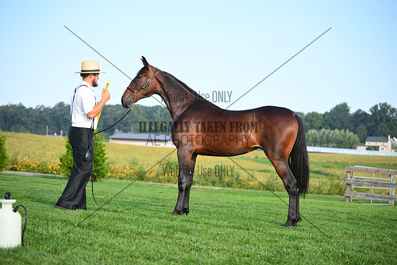 AJB_0602