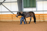 20. Open Performance Mares
