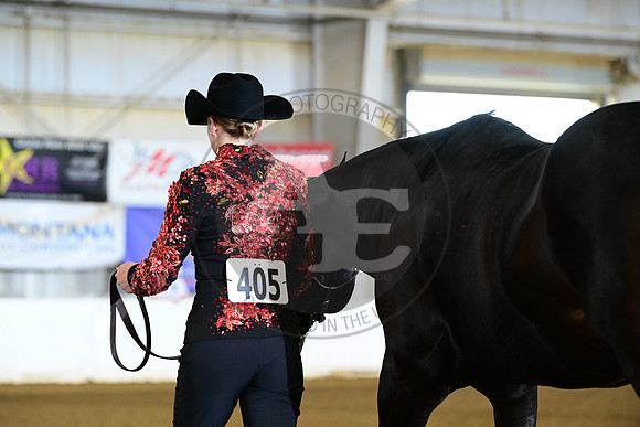 AJB_8049