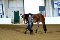 40. Amatuer Performance Geldings