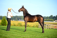 AJB_0513