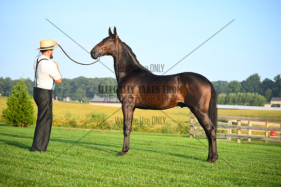 AJB_0513