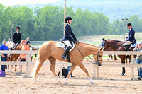 AJB_6418