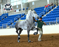 AJB_4872
