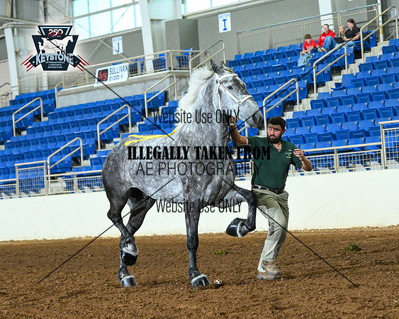 AJB_4872
