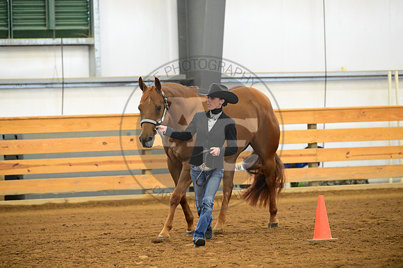 AJB_2015