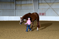 53. Youth Aged Geldings