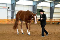 AJB_0974