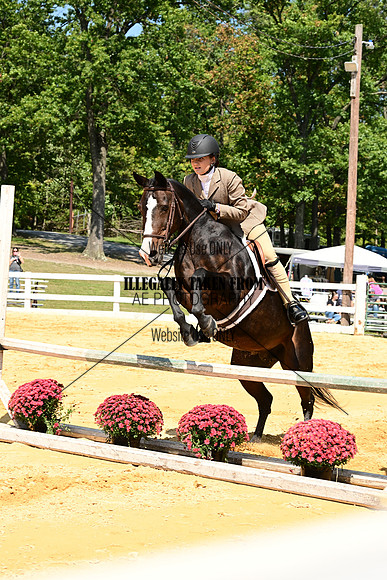 AJB_0737