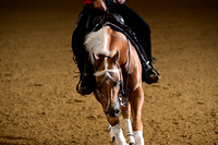 AJB_0393