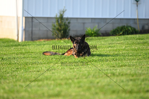 AJB_0568