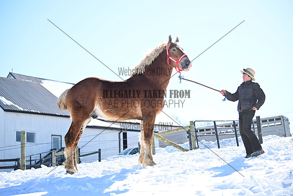 file_177617039360