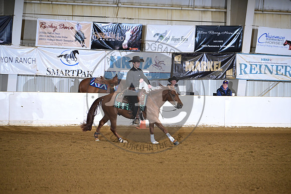 AJB_0377