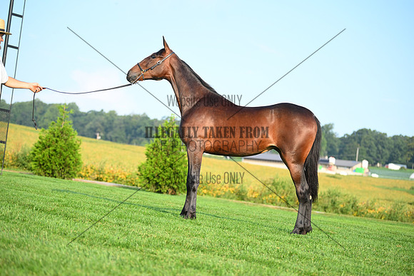 AJB_0624