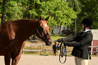 AJB_0285