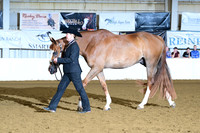 AJB_1641