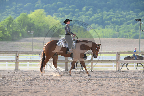 AJB_0271