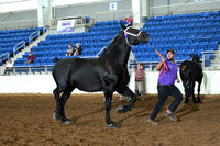 AJB_4974