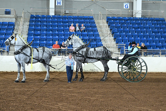 AJB_5907