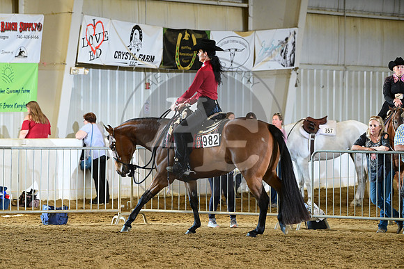 AJB_0537