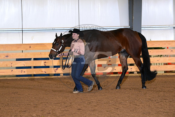 AJB_0133