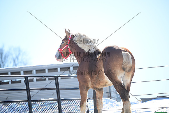 file_177300570112