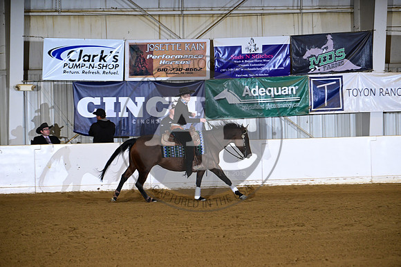 AJB_5335
