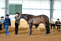 AJB_1474