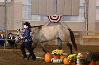 11. ABRA 2 Year Old In-Hand Trail