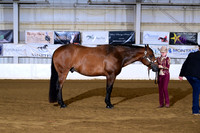 AB1_7011