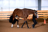 AJB_0022