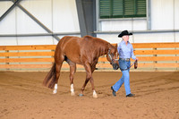 19. Aged Mares
