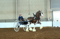 AJB_5522