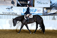 AJB_9557