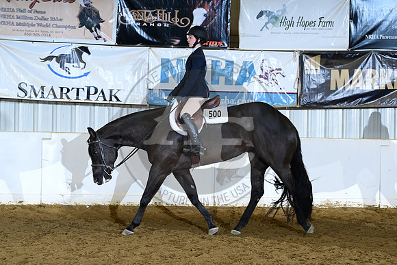AJB_9557