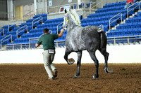 AJB_4879
