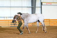 AJB_1754