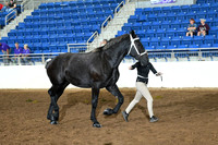 AJB_5077