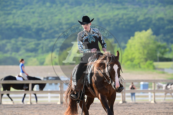 AJB_0291