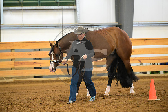 AJB_2012