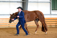 AJB_5944