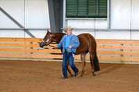 34. Open Aged Geldings