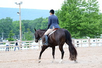 AJB_6208